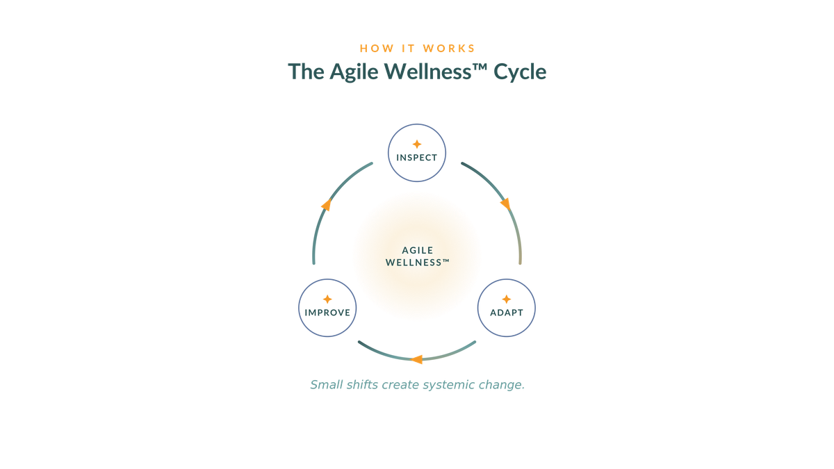 The Agile Wellness cycle: Inspect, Adapt, Improve, repeating